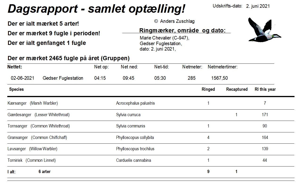 02062021 daily report