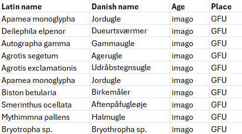 03.07.2024_moth.png