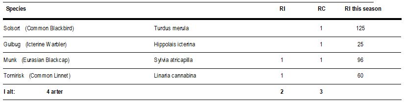 08.06.2024_birds.JPG