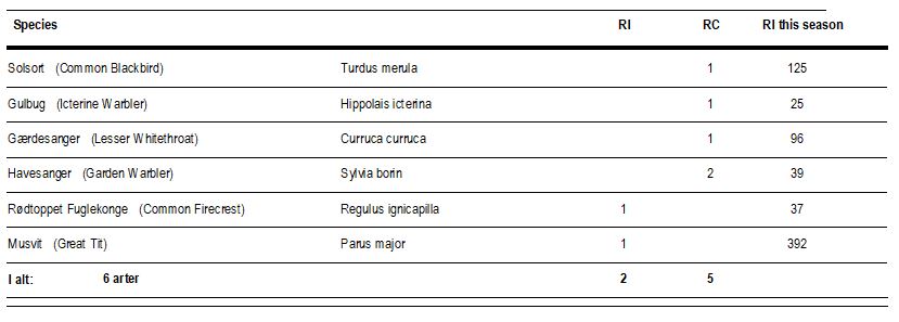 09.06.2024_birds.JPG