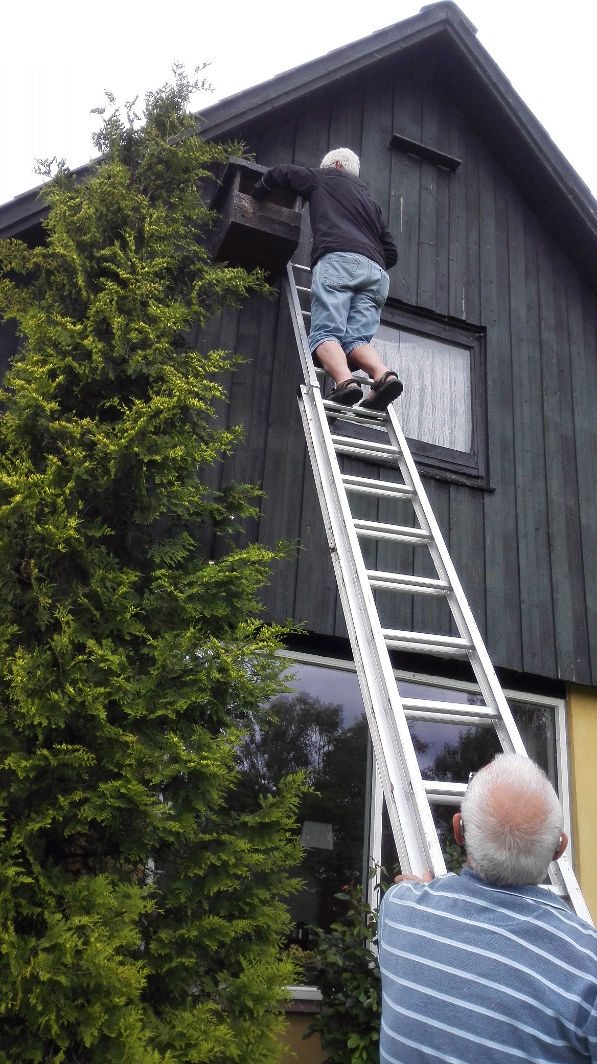 2017.06.12 Hans ved tårnfalkekasse