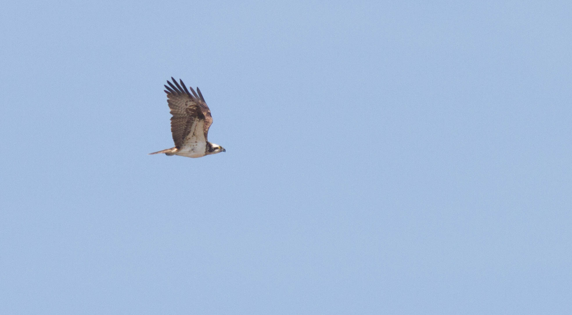20180419 IMG 6803