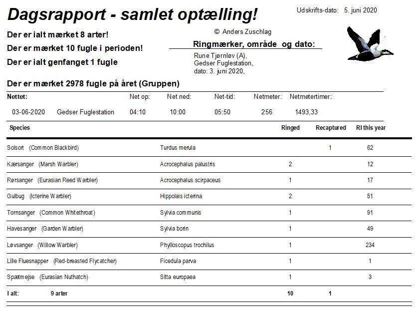 2020 06 03 dagens maerkninger