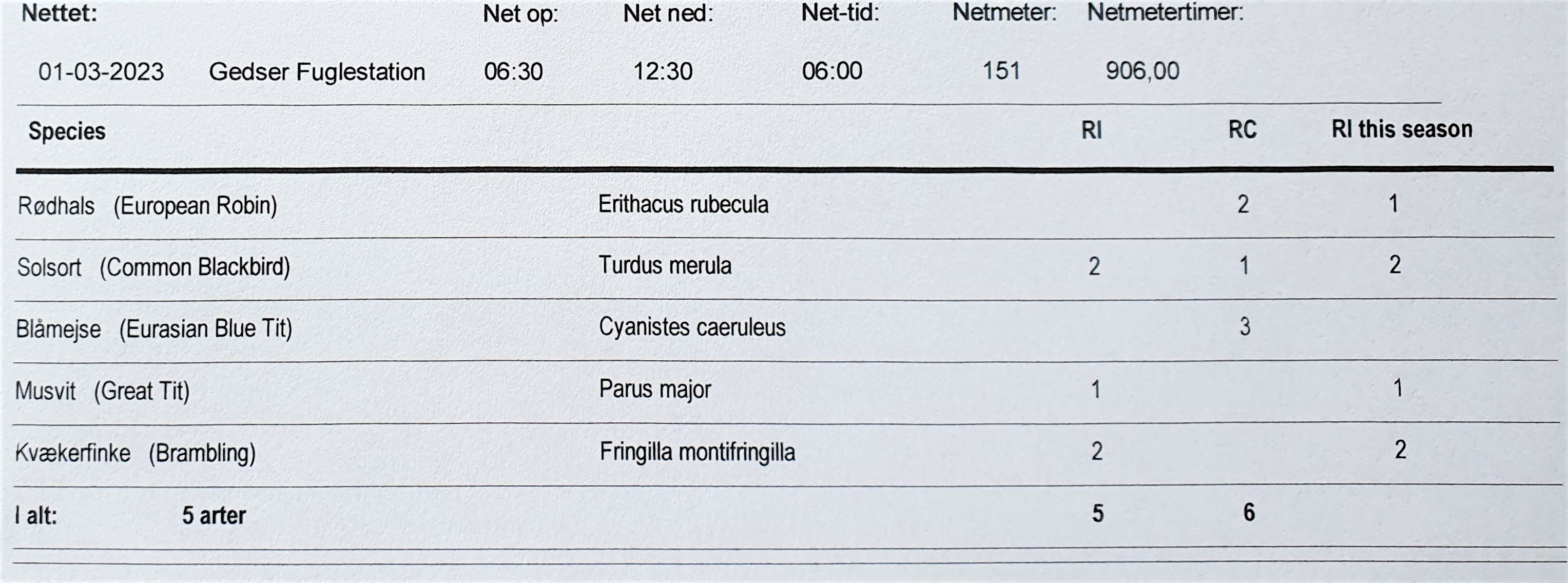 2023 03 01 dagsrapport