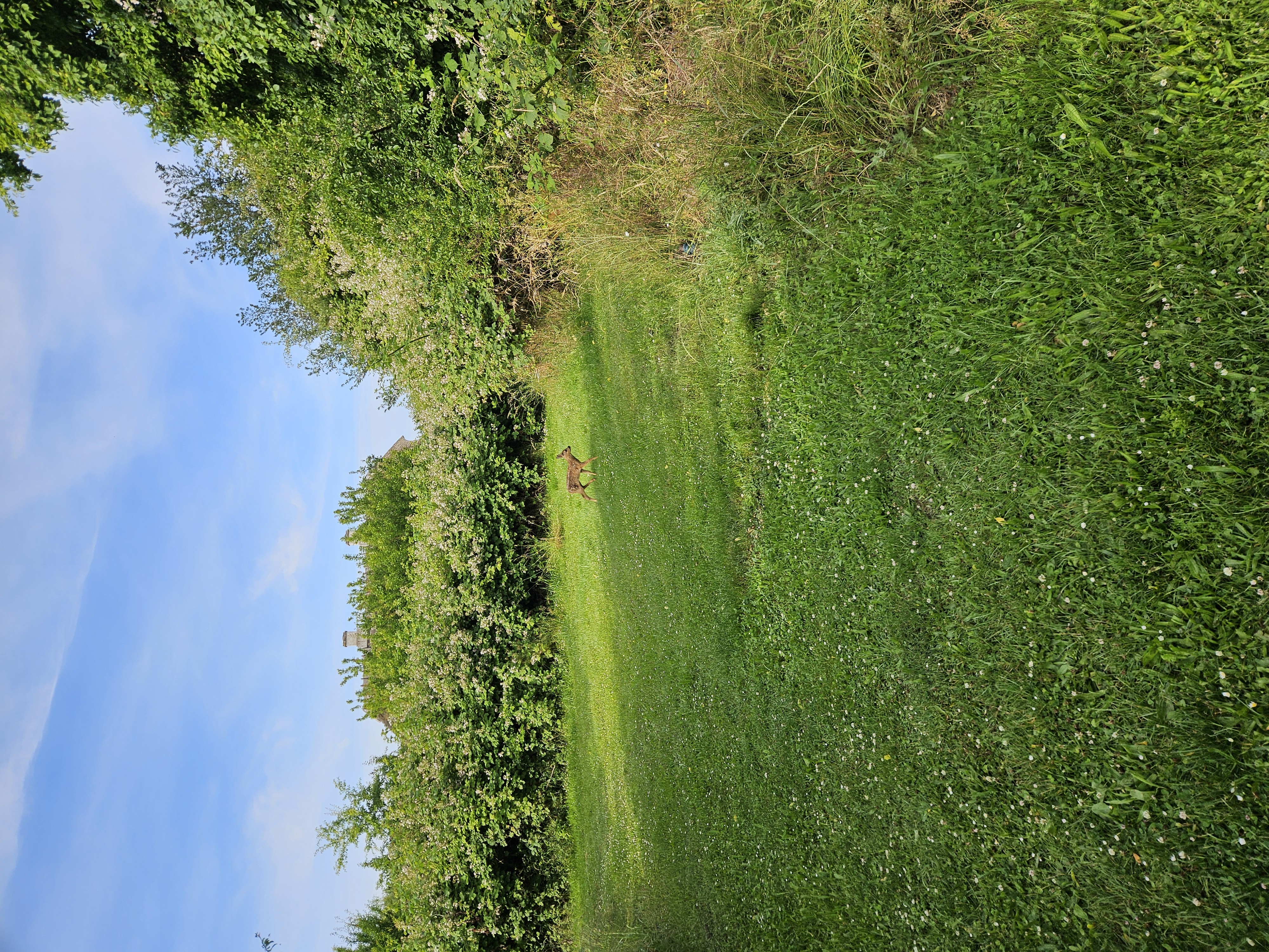20250626_083436.jpg