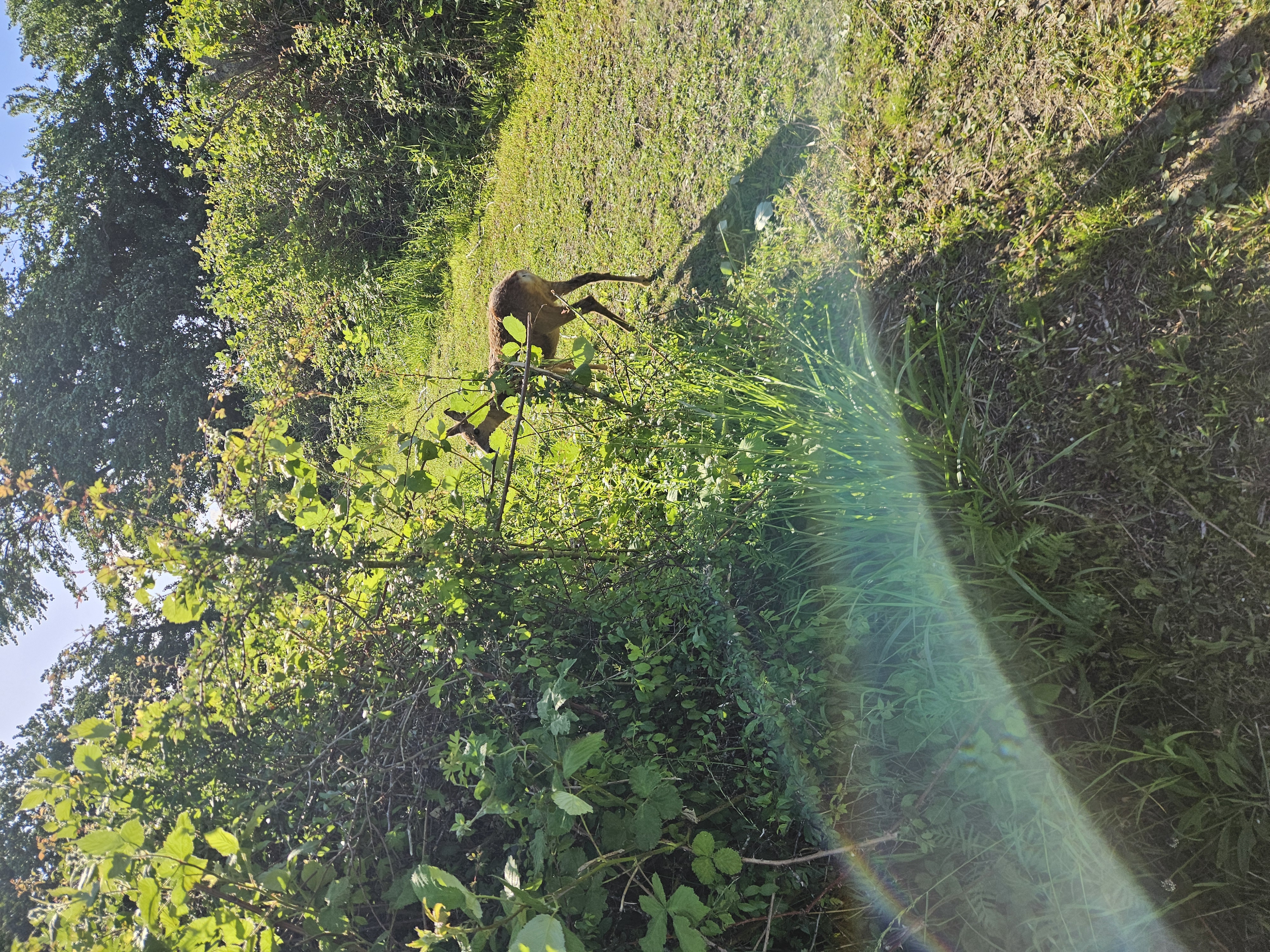 20260610_081903.jpg