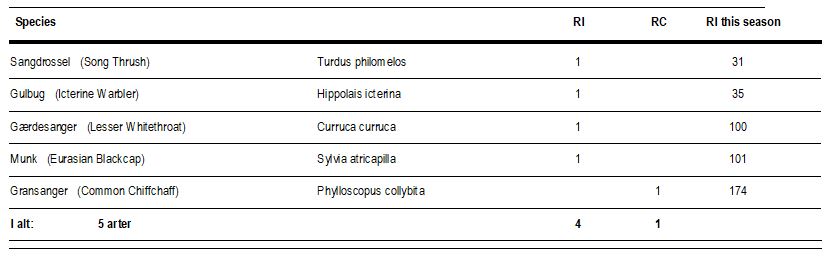 23.06.2024_birds.JPG