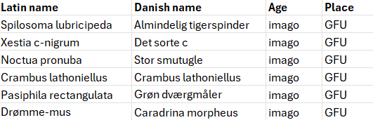 23.06.2024_moth.png