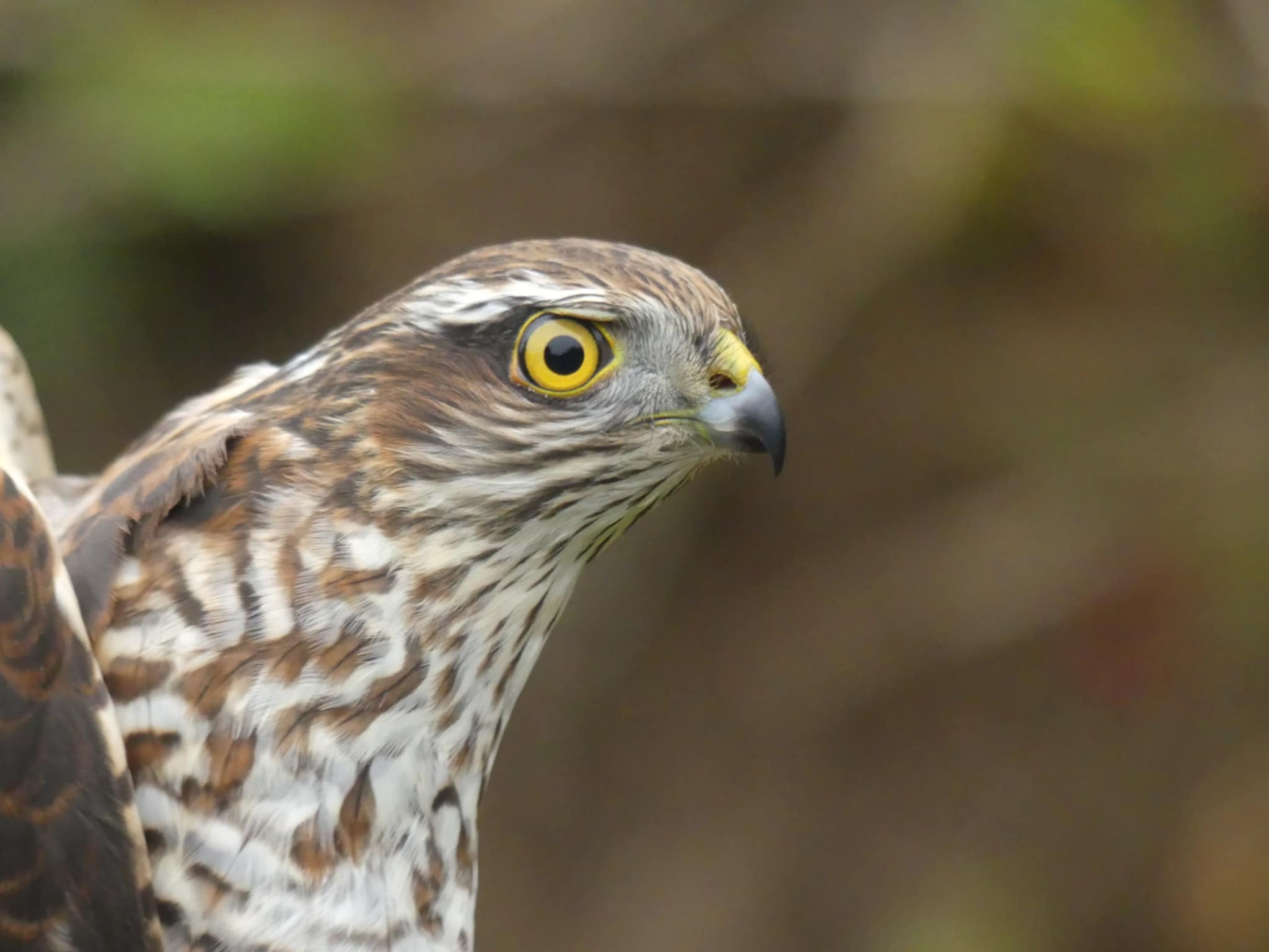 77631648 7dfe 4a7f 8c22 651037e41283