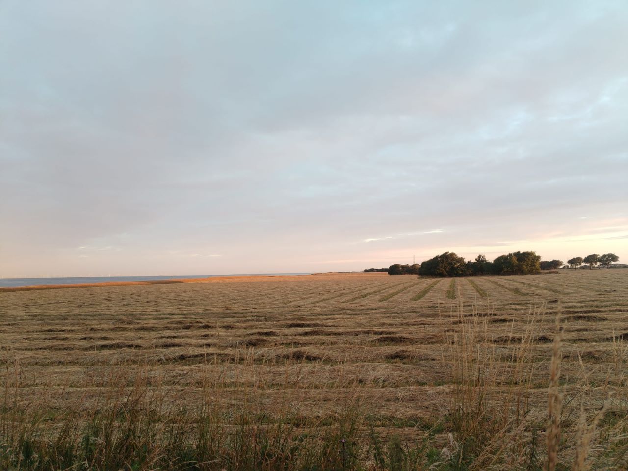 Autumn_res.jpg