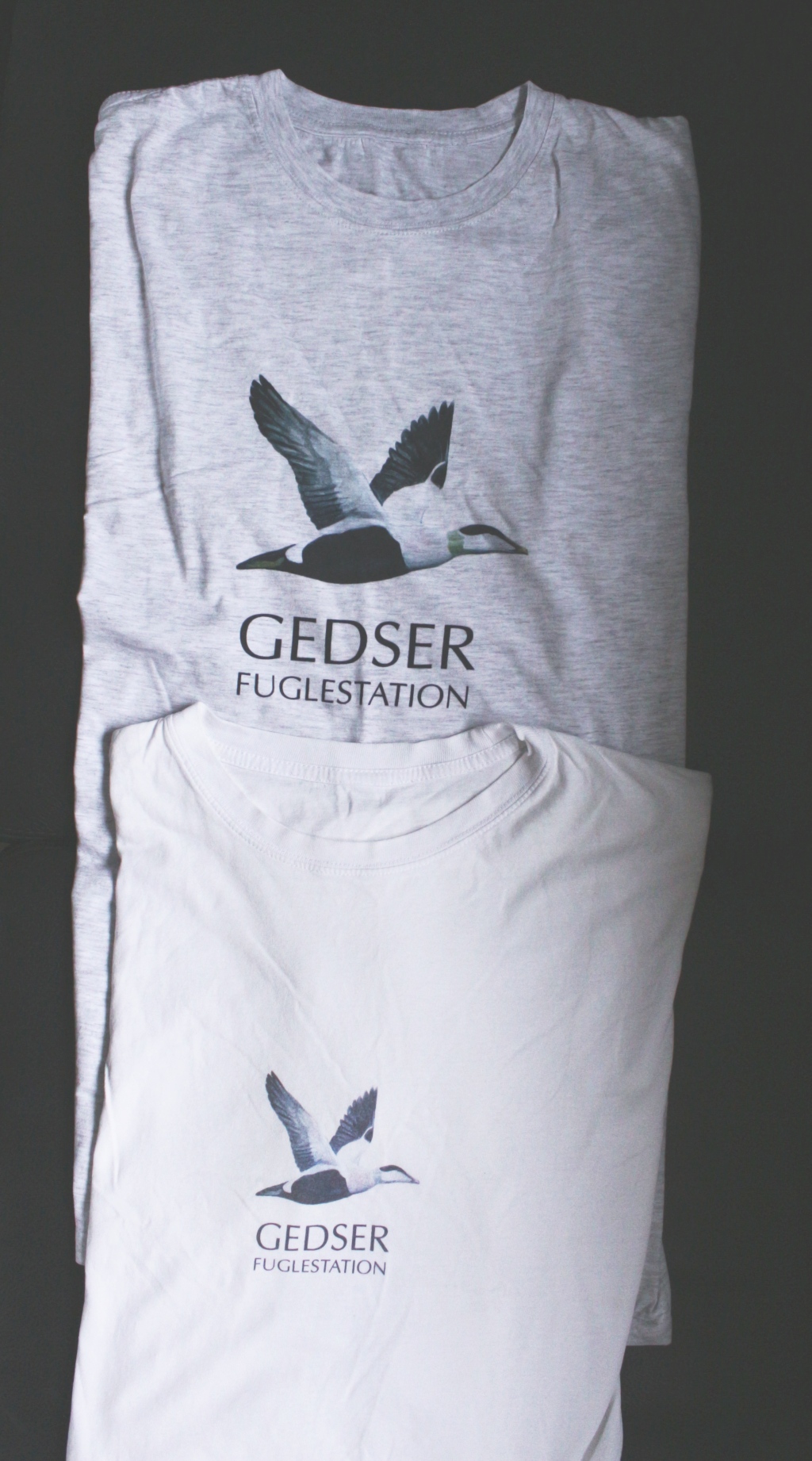 Gedser T shirts MG 0626