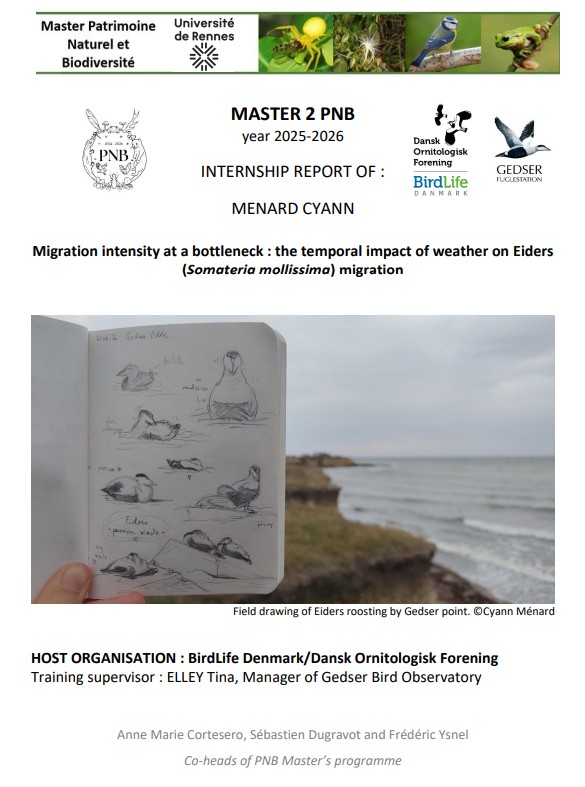 Cyann rapport forside