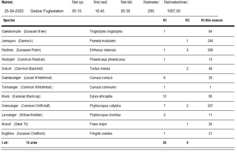 Dagsrapport ringmærkning 25 04 2025