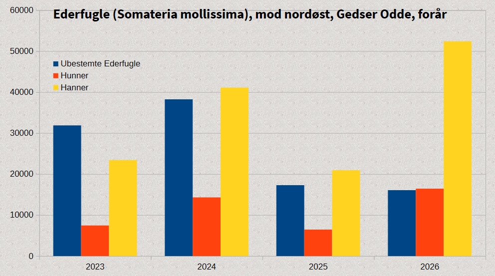 Ederfugle_2026_grafik.jpg