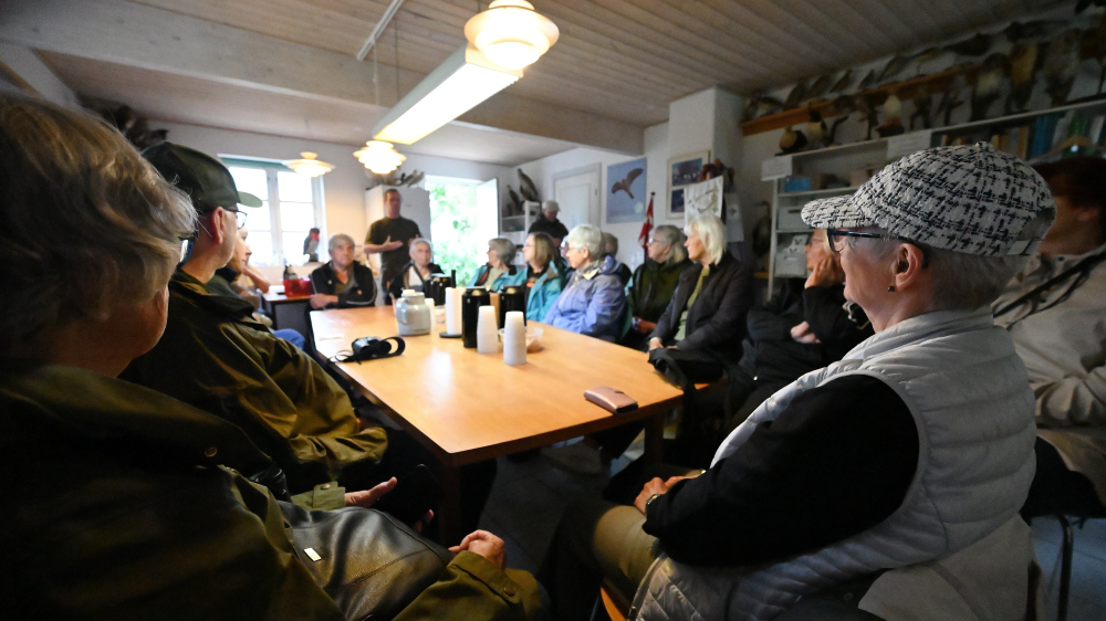 GFU_3_juni_3778.JPG