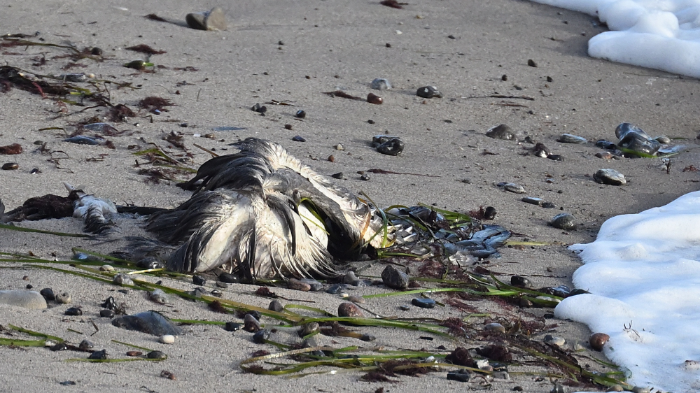 GFU nov ons trane 3270