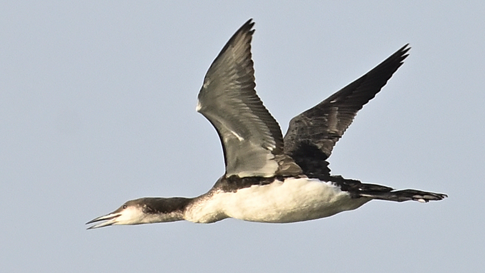 GFUsep_02_3940.JPG