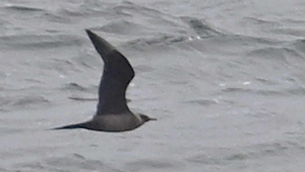 GFUsep_03_3946.JPG