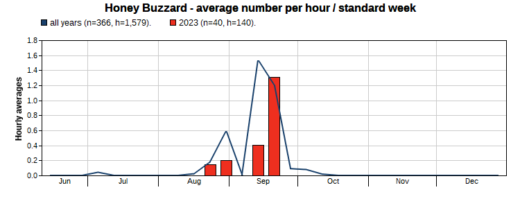 Grafik Hvepsevage