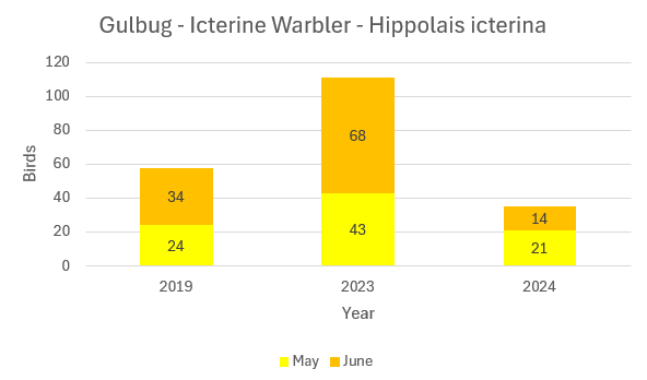 Gulbug_Graph.png