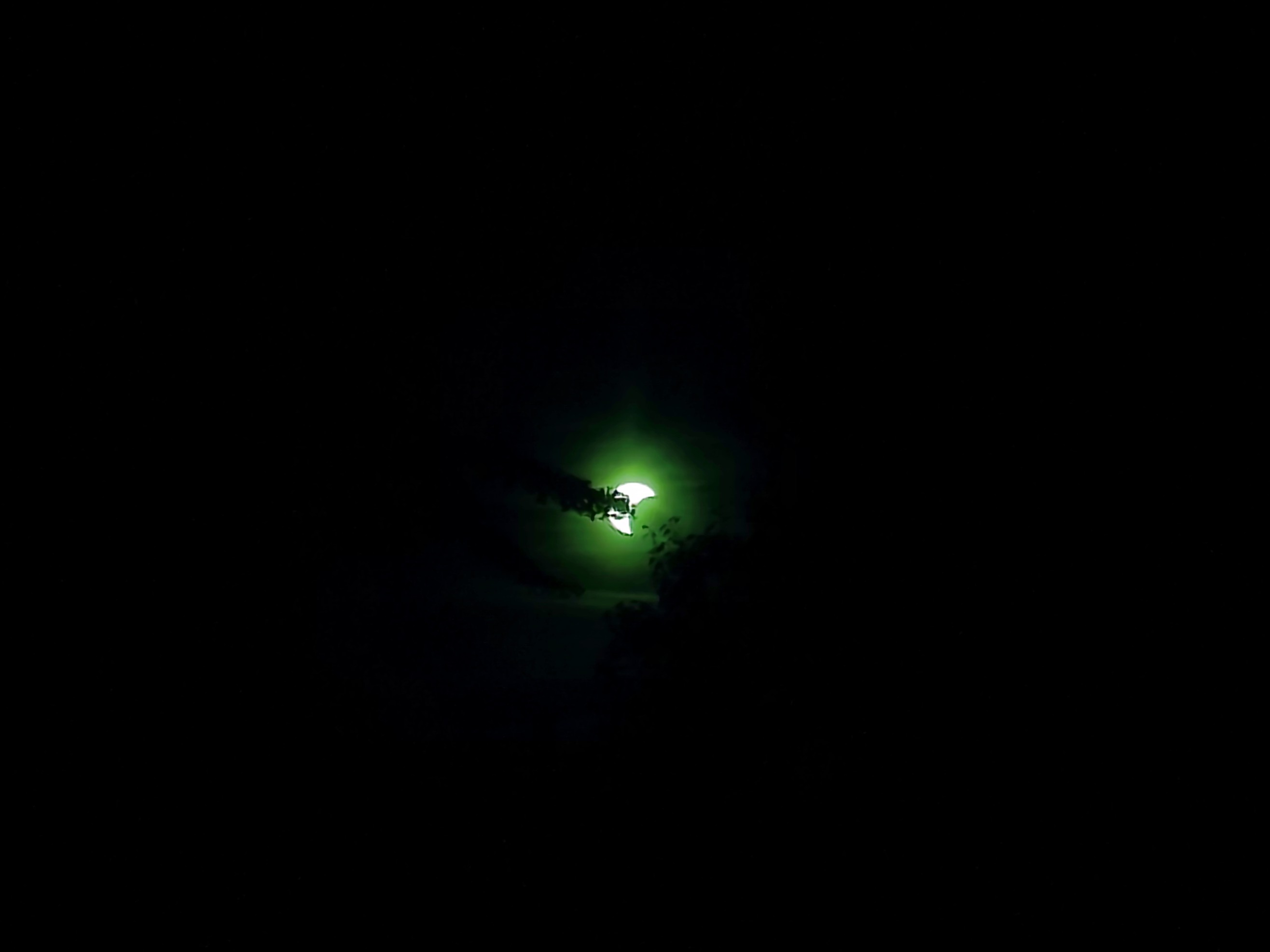 IMG 20260812 1942374521