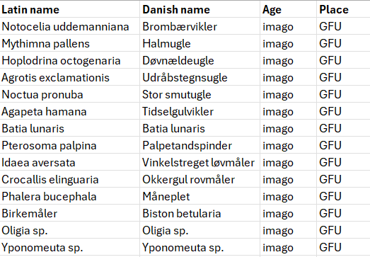 Moth_10.07.2024.png