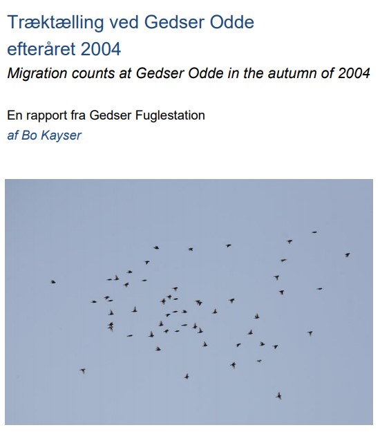Forside2004rap