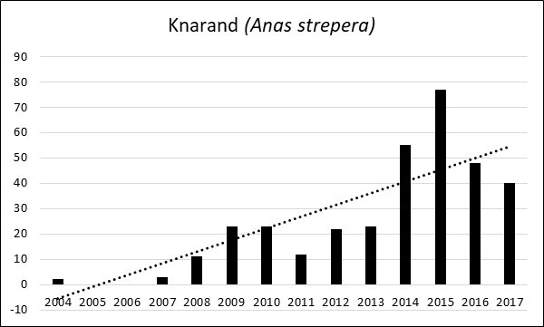 Tendens Knarand