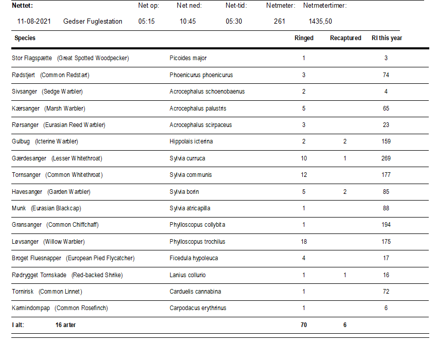 Ringmaerkede fugle 11 august 2021