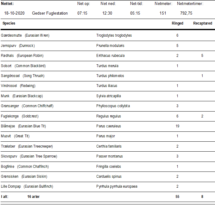 Ringmaerkede_fugle_18_okt.png