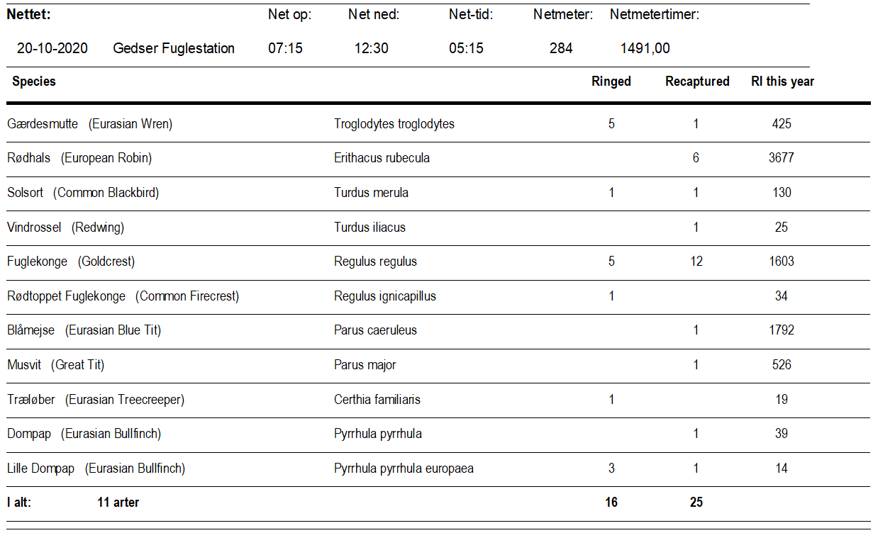 Ringmaerkede_fugle_20_okt.png