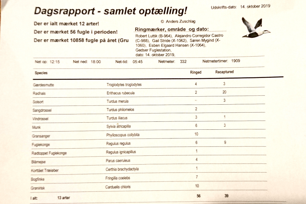 Ringmaerkning Gedser 14102019 00001