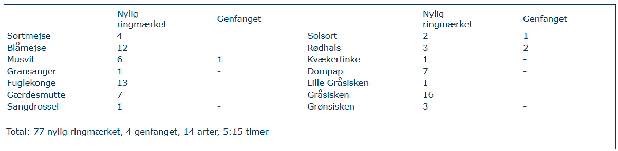 Skærmbillede 2025 11 03 190344