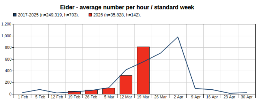 Skærmbillede 2026 03 24 161524