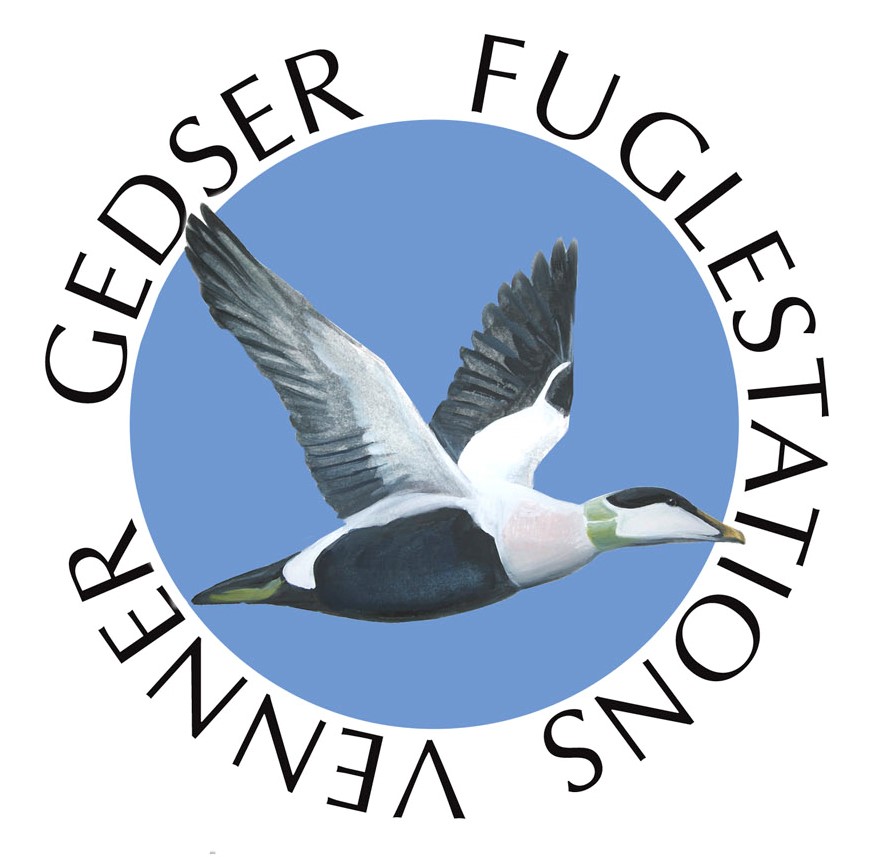 Gedser Fuglestations venner badge1 beskaret