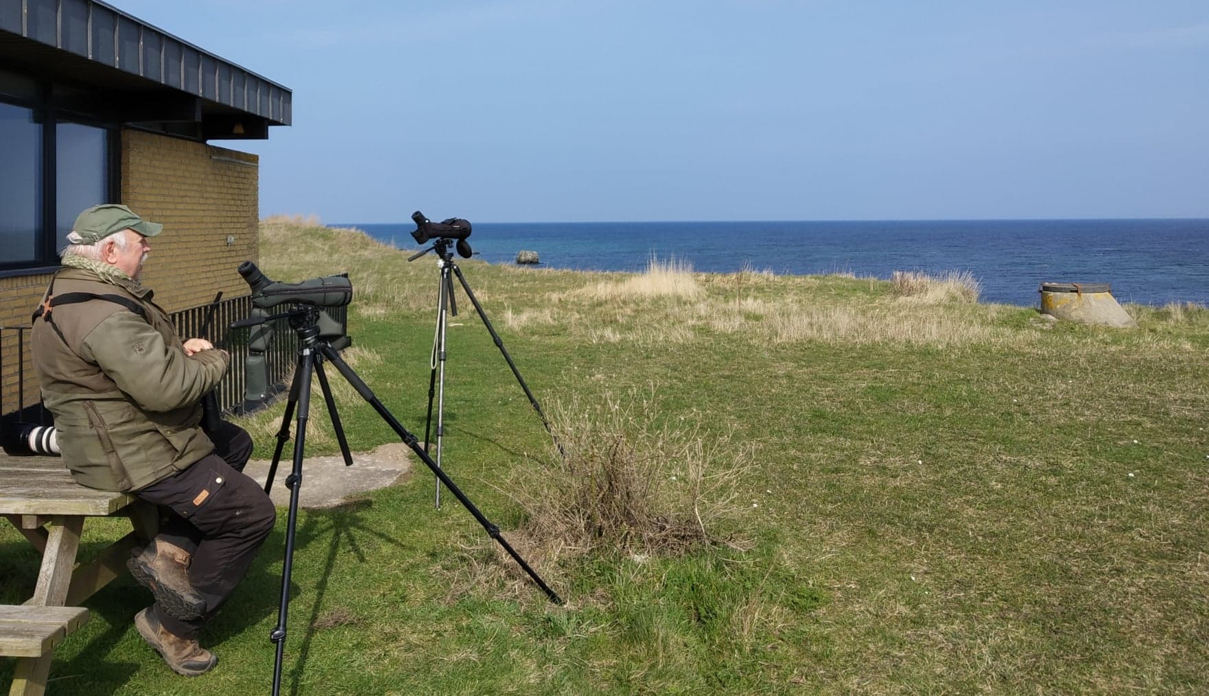 Gedser Odde Birdwatching