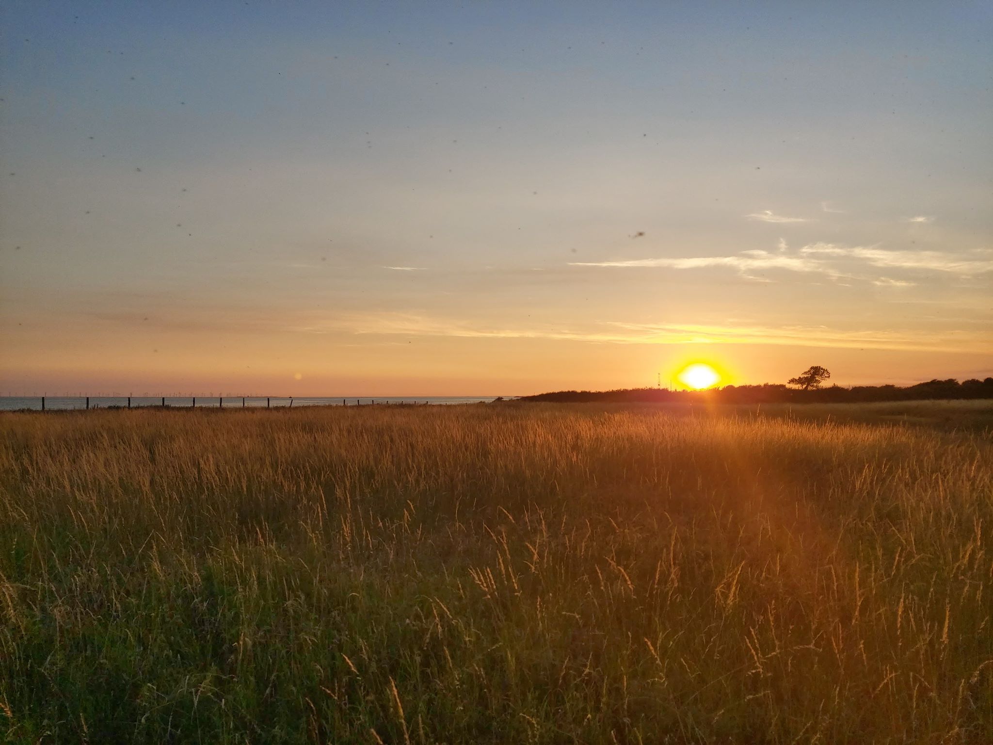 Solnedgang gedser ankomst