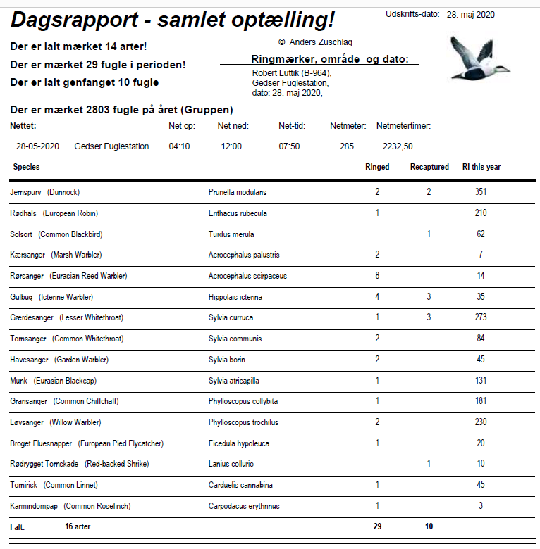 catches of 28maj2020