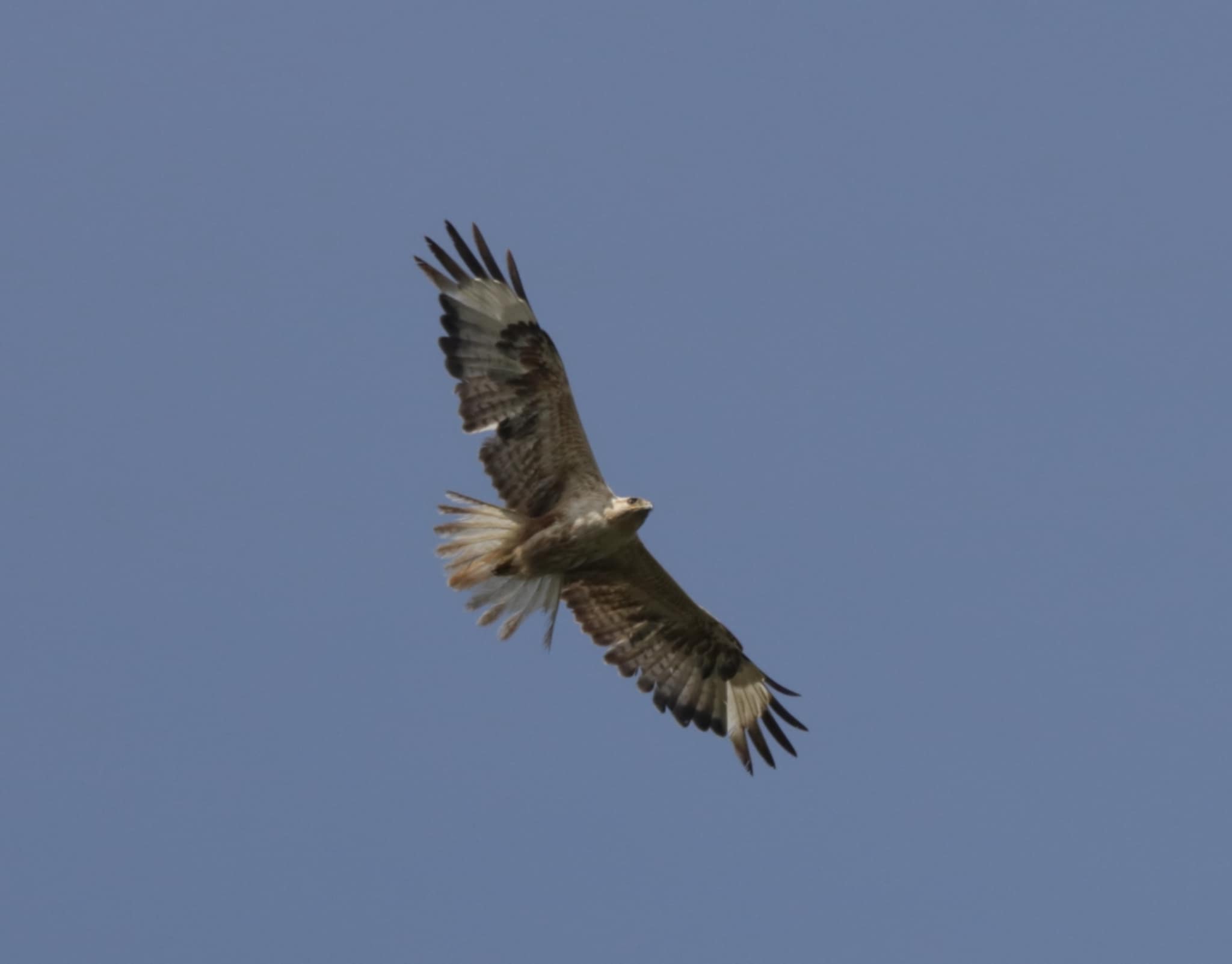 cea7ed5b-a8a2-4998-b40d-e4086c752984.jpg