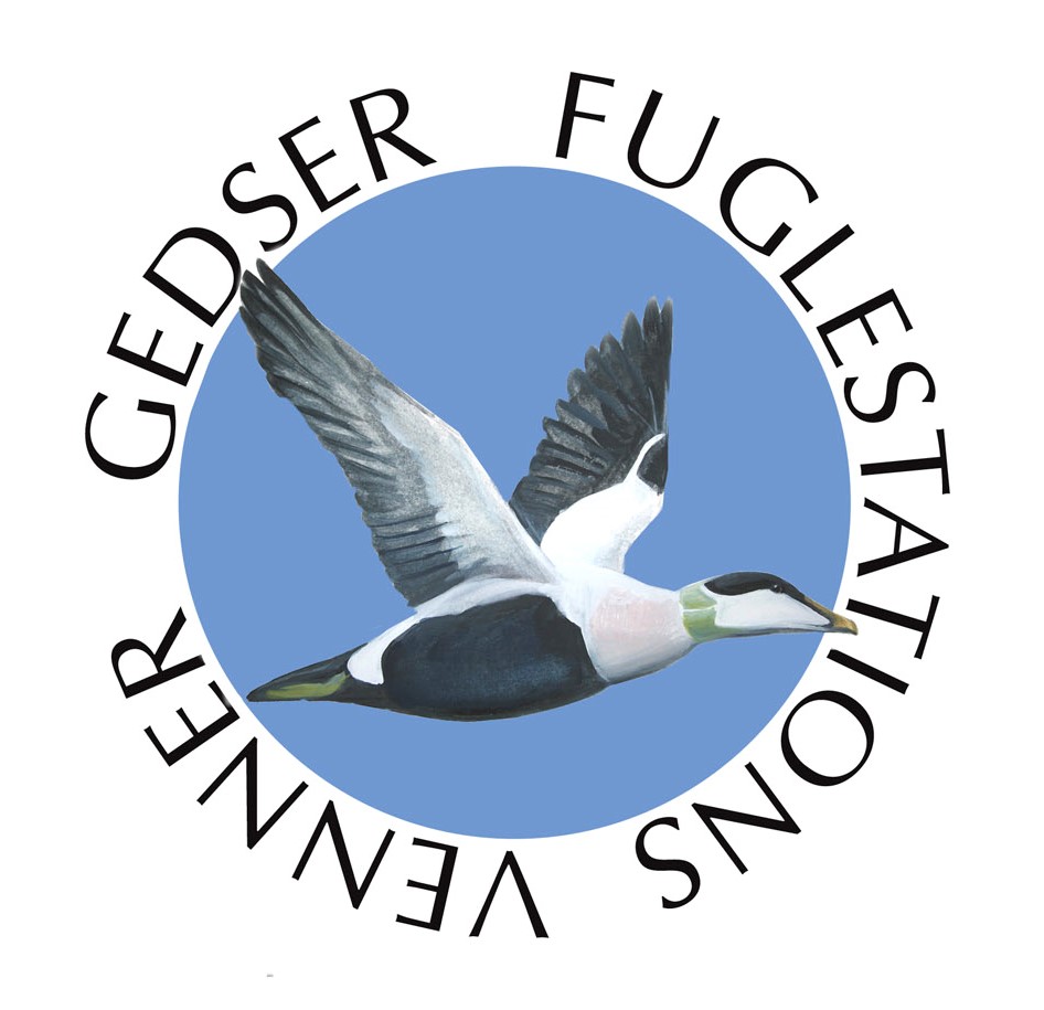 Gedser Fuglestations venner badge1 beskaaret