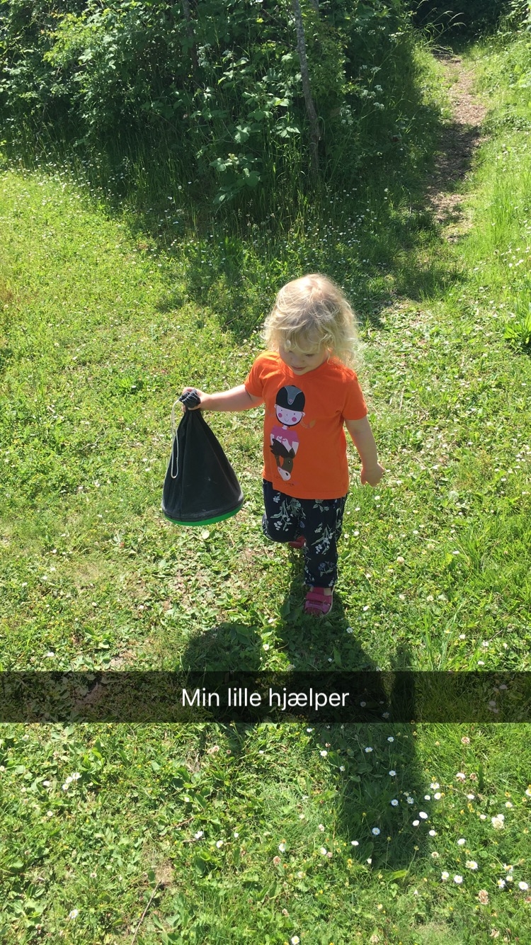 min lille hjaelper image2