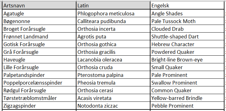 moths 04052025