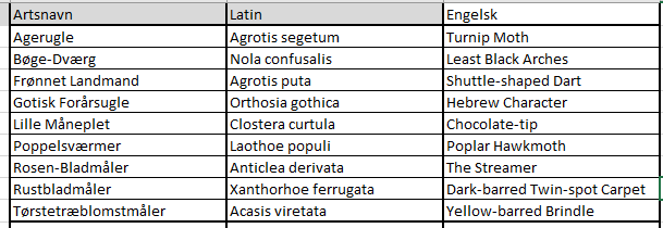 moths 12052025
