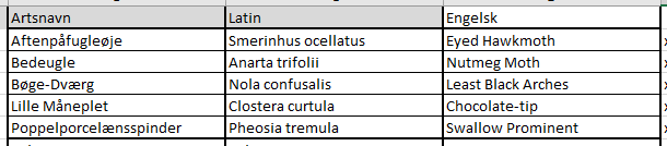 moths 13052025