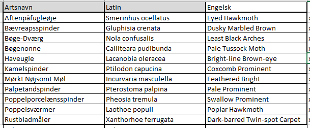 moths 14052025