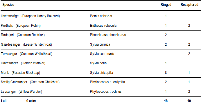 ringmaerkede_fugle_13sep.png