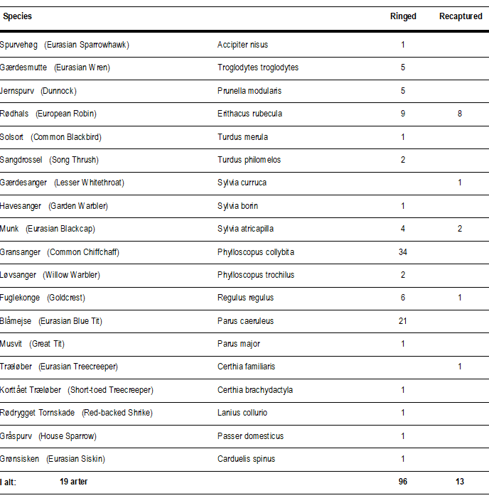 ringmaerkede_fugle_19_sep.png