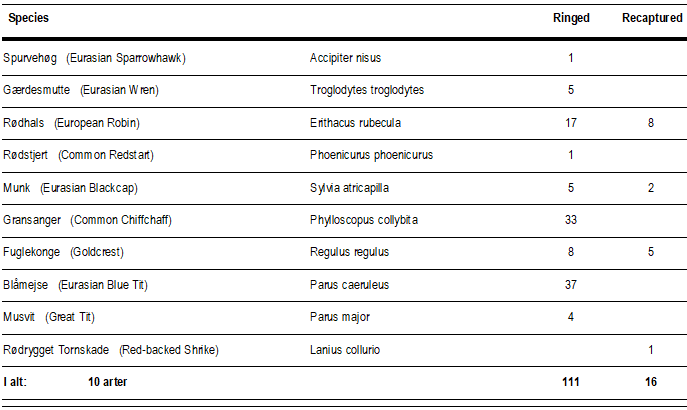 ringmaerkede_fugle_20_sep.png