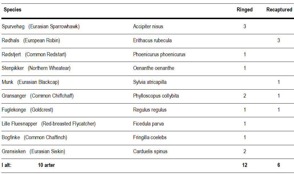 ringmaerkede_fugle_24_sep.png