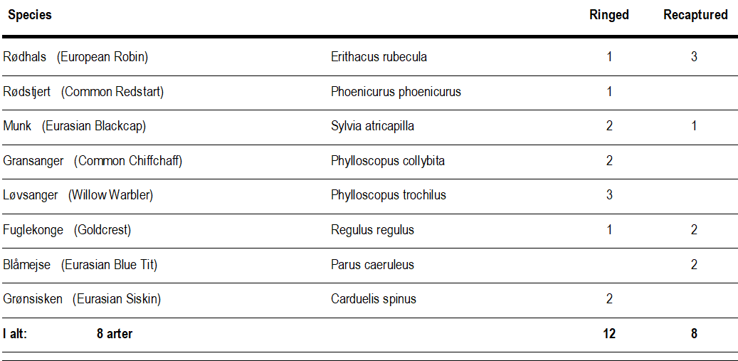 ringmaerkede_fugle_25_sep.png